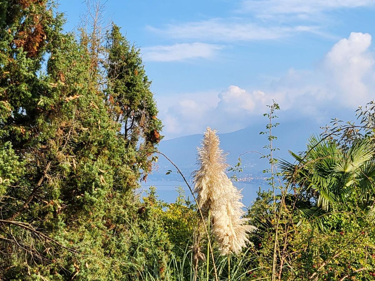 Bella Vista Lago Maggiore Einzigartiger Blick 365 Tagen Ghiffa Kültér fotó
