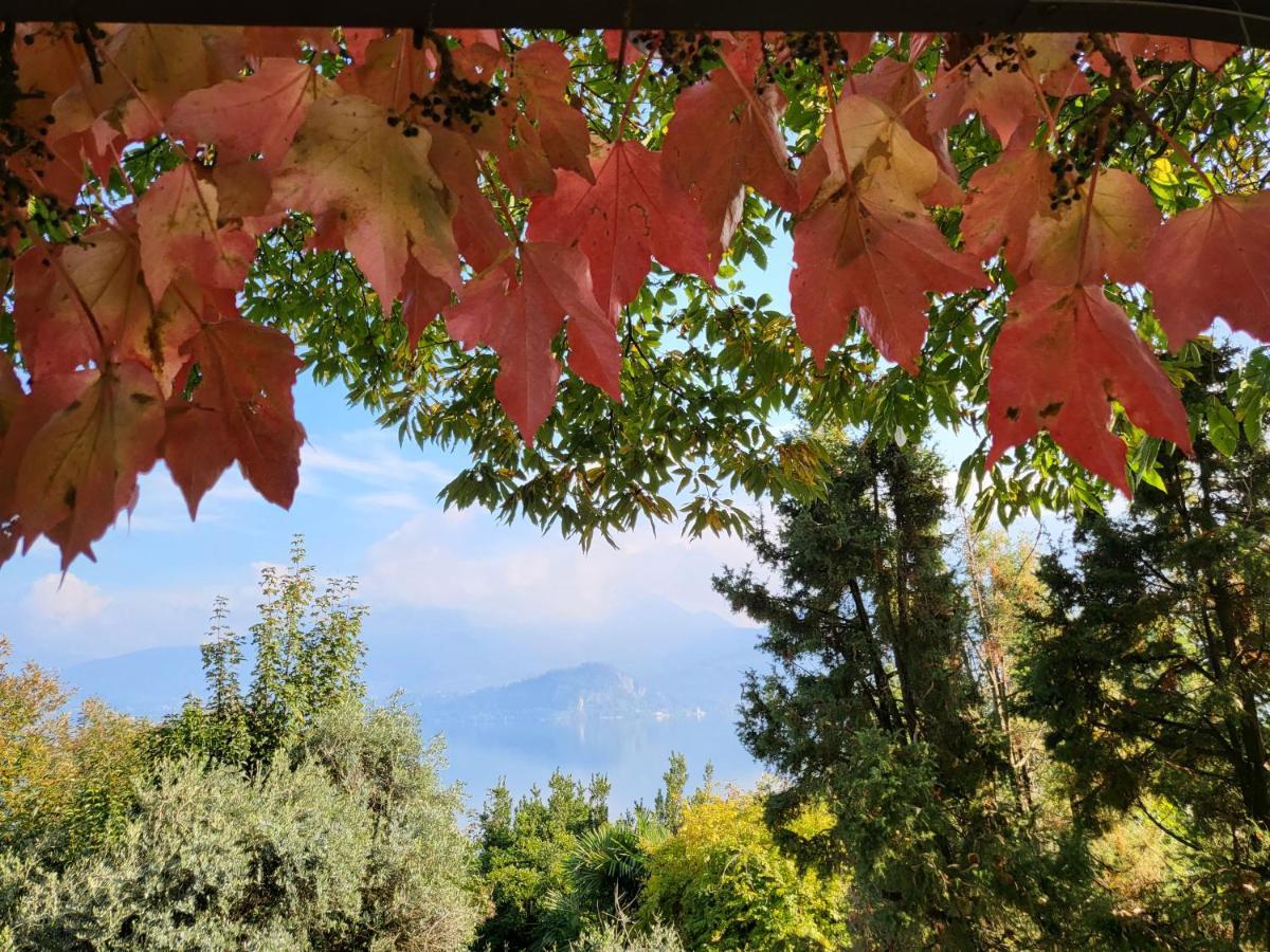 Bella Vista Lago Maggiore Einzigartiger Blick 365 Tagen Ghiffa Kültér fotó